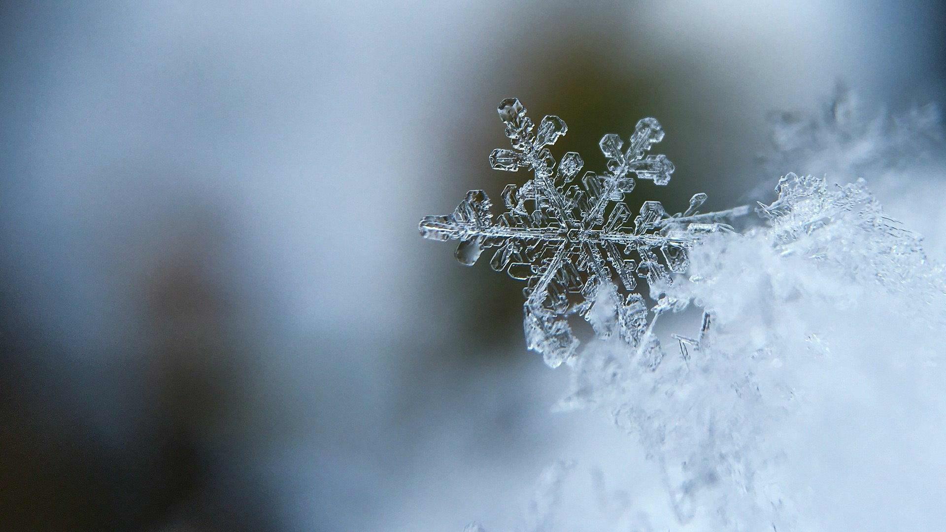 Is je hogedrukreiniger of reinigingsinstallatie winterklaar? - Est-ce que votre nettoyeur haute pression ou votre système de nettoyage sont prêts pour l'hiver ?